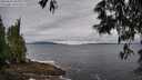 ./images/koeye/fitz-hugh/20250526/fitz-hugh20250526_085010M.jpg