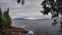 ./images/koeye/fitz-hugh/20250526/fitz-hugh20250526_085510M.jpg