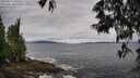 ./images/koeye/fitz-hugh/20250526/fitz-hugh20250526_090510M.jpg