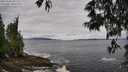 ./images/koeye/fitz-hugh/20250526/fitz-hugh20250526_091511M.jpg