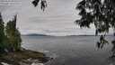 ./images/koeye/fitz-hugh/20250526/fitz-hugh20250526_092510M.jpg