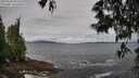 ./images/koeye/fitz-hugh/20250526/fitz-hugh20250526_093510M.jpg