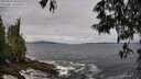 ./images/koeye/fitz-hugh/20250526/fitz-hugh20250526_094511M.jpg