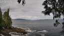 ./images/koeye/fitz-hugh/20250526/fitz-hugh20250526_095009M.jpg