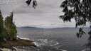 ./images/koeye/fitz-hugh/20250526/fitz-hugh20250526_095510M.jpg