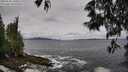 ./images/koeye/fitz-hugh/20250526/fitz-hugh20250526_100011M.jpg