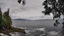 ./images/koeye/fitz-hugh/20250526/fitz-hugh20250526_100509M.jpg