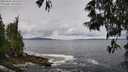 ./images/koeye/fitz-hugh/20250526/fitz-hugh20250526_102509M.jpg