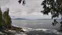 ./images/koeye/fitz-hugh/20250526/fitz-hugh20250526_104009M.jpg