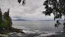 ./images/koeye/fitz-hugh/20250526/fitz-hugh20250526_104510M.jpg