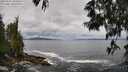 ./images/koeye/fitz-hugh/20250526/fitz-hugh20250526_105010M.jpg