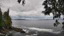 ./images/koeye/fitz-hugh/20250526/fitz-hugh20250526_105510M.jpg