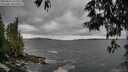 ./images/koeye/fitz-hugh/20250526/fitz-hugh20250526_112010M.jpg