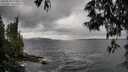 ./images/koeye/fitz-hugh/20250526/fitz-hugh20250526_112509M.jpg