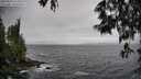 ./images/koeye/fitz-hugh/20250526/fitz-hugh20250526_113510M.jpg