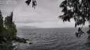 ./images/koeye/fitz-hugh/20250526/fitz-hugh20250526_115011M.jpg