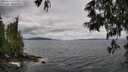 ./images/koeye/fitz-hugh/20250526/fitz-hugh20250526_115510M.jpg