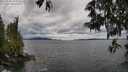 ./images/koeye/fitz-hugh/20250526/fitz-hugh20250526_124511M.jpg