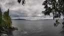 ./images/koeye/fitz-hugh/20250526/fitz-hugh20250526_125009M.jpg
