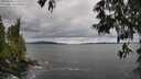 ./images/koeye/fitz-hugh/20250526/fitz-hugh20250526_125510M.jpg