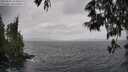 ./images/koeye/fitz-hugh/20250526/fitz-hugh20250526_132011M.jpg