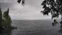 ./images/koeye/fitz-hugh/20250526/fitz-hugh20250526_132510M.jpg