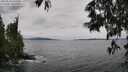./images/koeye/fitz-hugh/20250526/fitz-hugh20250526_135010M.jpg