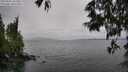./images/koeye/fitz-hugh/20250526/fitz-hugh20250526_141010M.jpg
