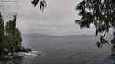 ./images/koeye/fitz-hugh/20250526/fitz-hugh20250526_141510M.jpg