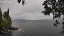 ./images/koeye/fitz-hugh/20250526/fitz-hugh20250526_144010M.jpg