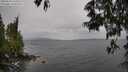 ./images/koeye/fitz-hugh/20250526/fitz-hugh20250526_144511M.jpg