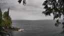./images/koeye/fitz-hugh/20250526/fitz-hugh20250526_145510M.jpg