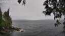 ./images/koeye/fitz-hugh/20250526/fitz-hugh20250526_151011M.jpg