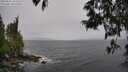 ./images/koeye/fitz-hugh/20250526/fitz-hugh20250526_152509M.jpg