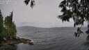 ./images/koeye/fitz-hugh/20250526/fitz-hugh20250526_154511M.jpg