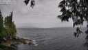 ./images/koeye/fitz-hugh/20250526/fitz-hugh20250526_160012M.jpg