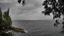 ./images/koeye/fitz-hugh/20250526/fitz-hugh20250526_164511M.jpg