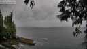 ./images/koeye/fitz-hugh/20250526/fitz-hugh20250526_174511M.jpg