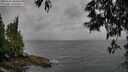 ./images/koeye/fitz-hugh/20250526/fitz-hugh20250526_180013M.jpg