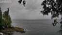 ./images/koeye/fitz-hugh/20250526/fitz-hugh20250526_180509M.jpg