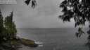 ./images/koeye/fitz-hugh/20250526/fitz-hugh20250526_182509M.jpg