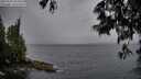 ./images/koeye/fitz-hugh/20250526/fitz-hugh20250526_204508M.jpg