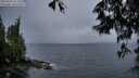 ./images/koeye/fitz-hugh/20250526/fitz-hugh20250526_212508M.jpg