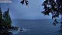 ./images/koeye/fitz-hugh/20250526/fitz-hugh20250526_214007M.jpg