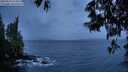 ./images/koeye/fitz-hugh/20250526/fitz-hugh20250526_214509M.jpg