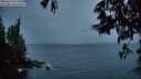 ./images/koeye/fitz-hugh/20250526/fitz-hugh20250526_215508M.jpg