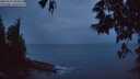 ./images/koeye/fitz-hugh/20250527/fitz-hugh20250527_045009M.jpg