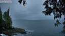 ./images/koeye/fitz-hugh/20250527/fitz-hugh20250527_051509M.jpg