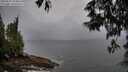 ./images/koeye/fitz-hugh/20250527/fitz-hugh20250527_054009M.jpg