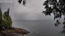 ./images/koeye/fitz-hugh/20250527/fitz-hugh20250527_054508M.jpg